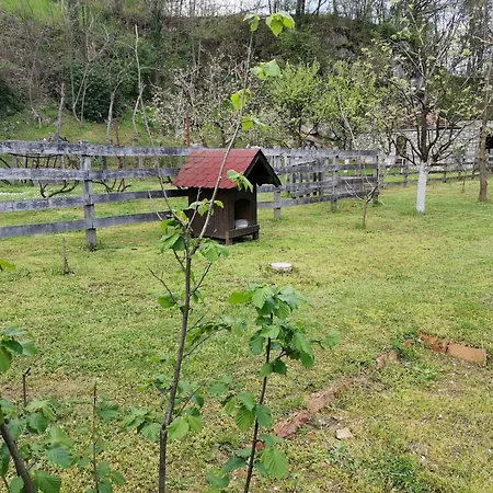 Quince Gradac Valjevo
