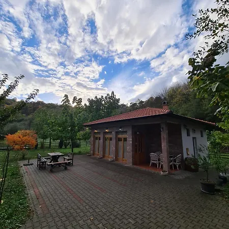 Quince Gradac * Valjevo