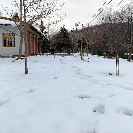 Quince Gradac شقة فاليفو