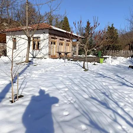 Quince Gradac فاليفو