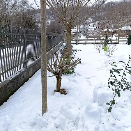 Apartman Quince Gradac *