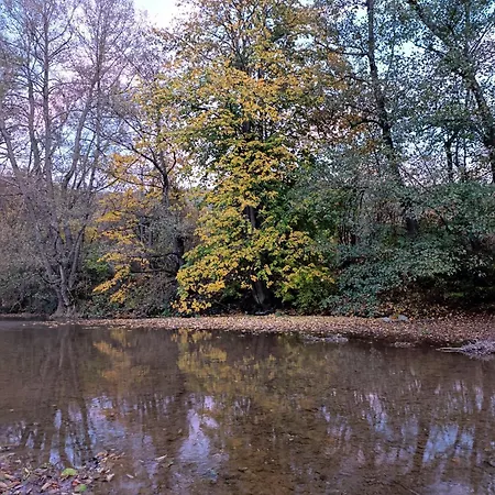 Quince Gradac Apartman *