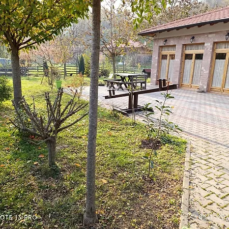 Apartman Quince Gradac