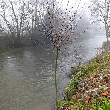 Quince Gradac فاليفو