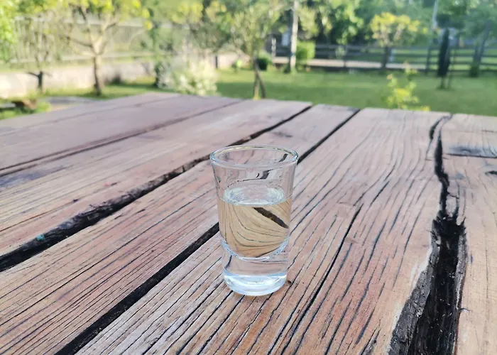 Apartament Quince Gradac