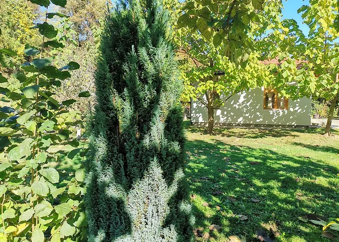 Quince Gradac * Valjevo