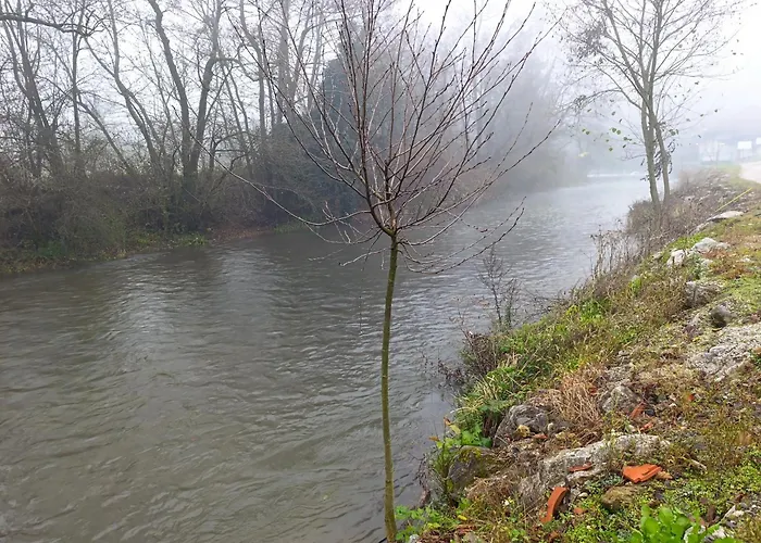 Quince Gradac Valjevo